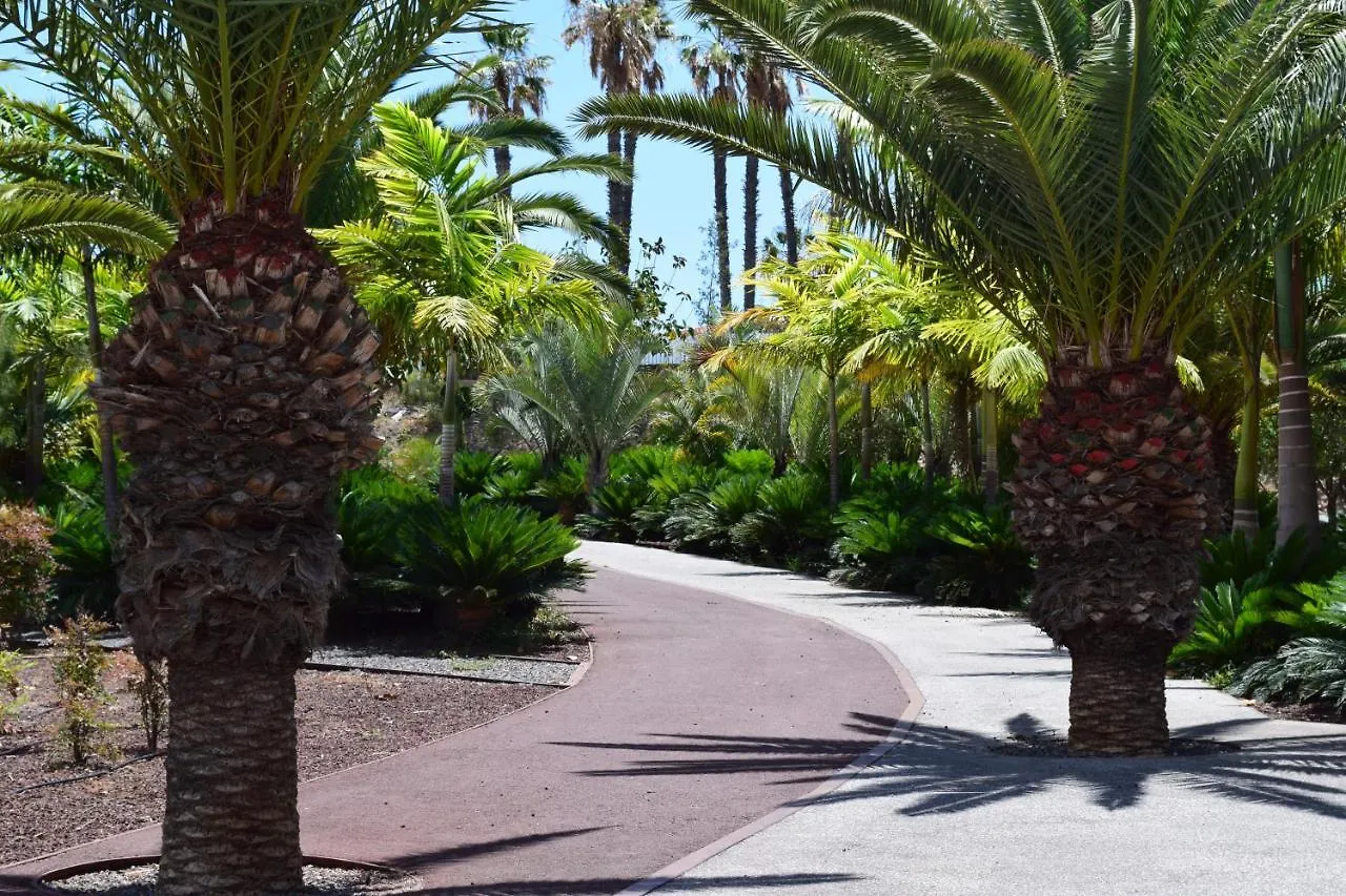 Appartamento Primavera Tenerife Costa Del Silencio Spagna